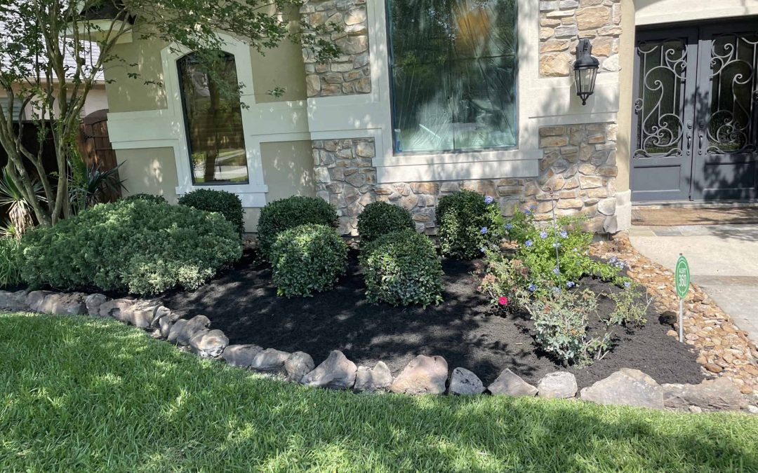 Time for Spring Cleanup