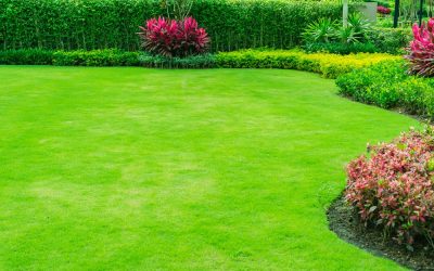 2 3 -Cut'N Edge Property Management The Best in Lawn Maintenance
