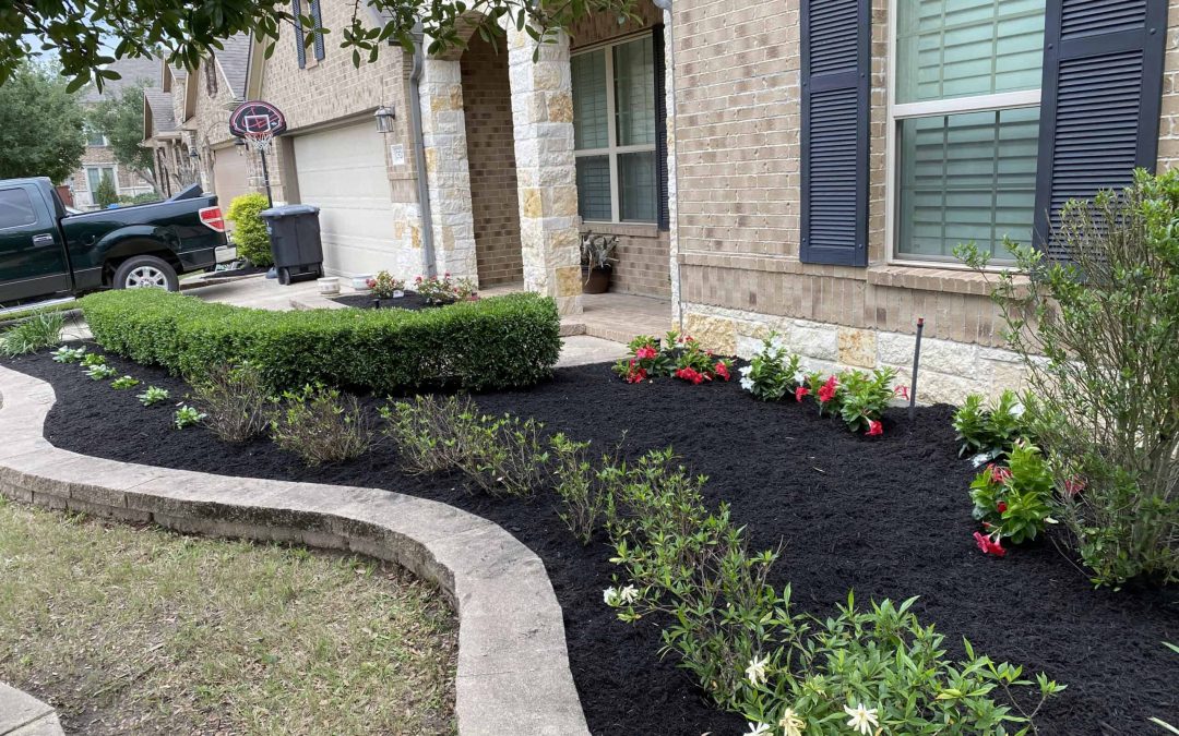 Site Preparation for Plant Installs: A Homeowner’s Guide