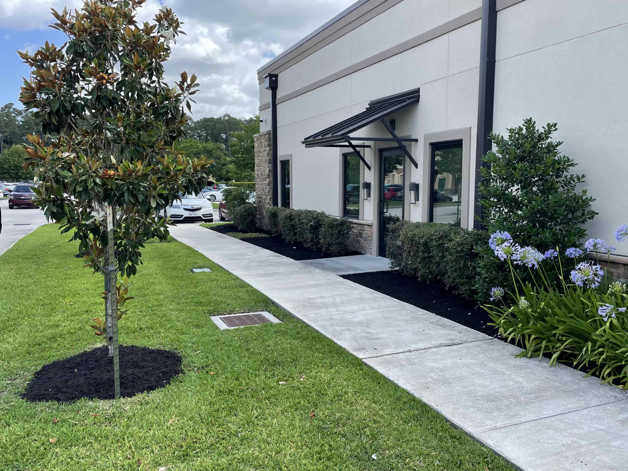 a small tree installed in the ground in front of a business building