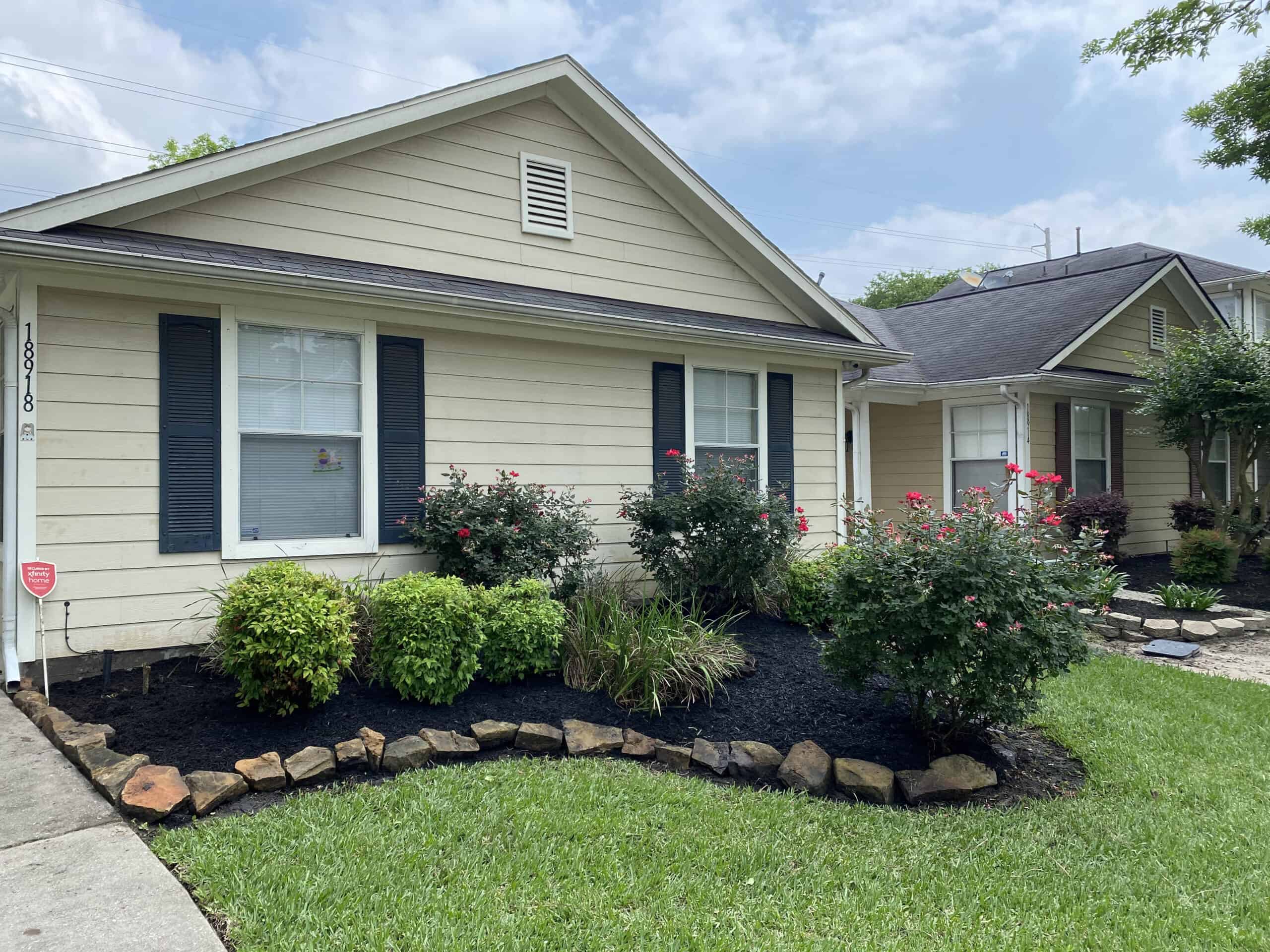 Front yard landscape with black mulch, flowering bushes, and neatly trimmed shrubs along a tan house with dark shutters.