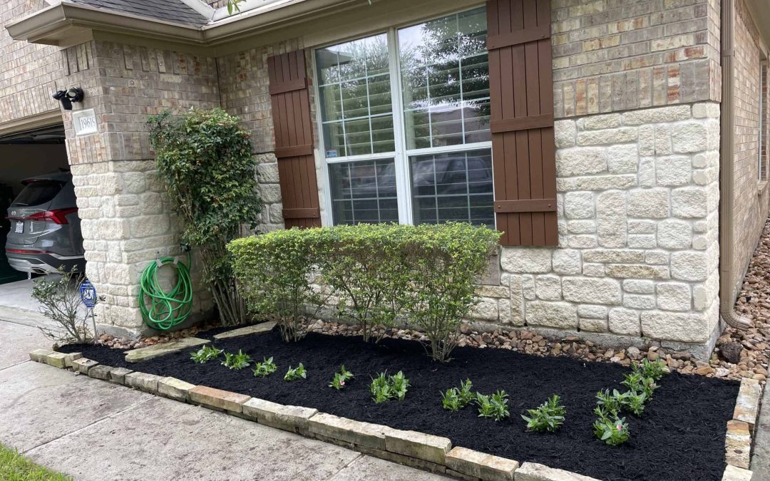 The Role of Mulch in Land Development