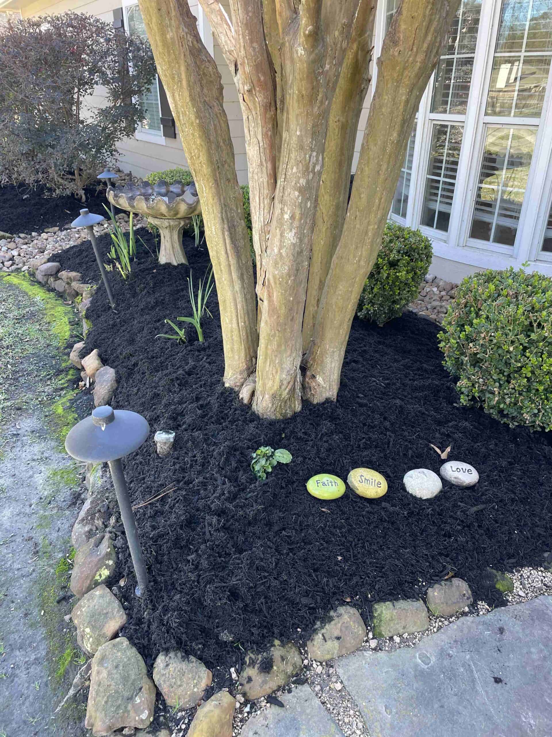 trust mulch professionals for expert tips scaled 1 -Cut'N Edge Property Management Choose between mulch and compost for optimal garden results