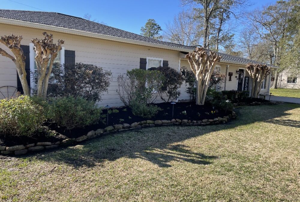 From Bland to Grand | How Mulch Can Really Impact Your Yard