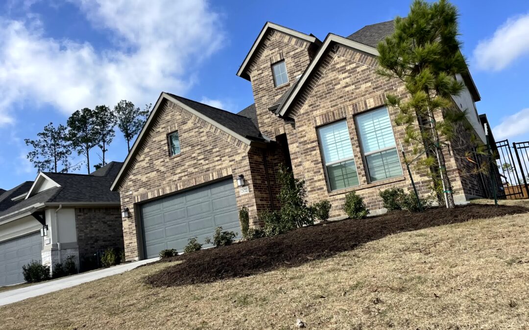 Top Landscaping Projects to Prevent Weed Growth Effectively