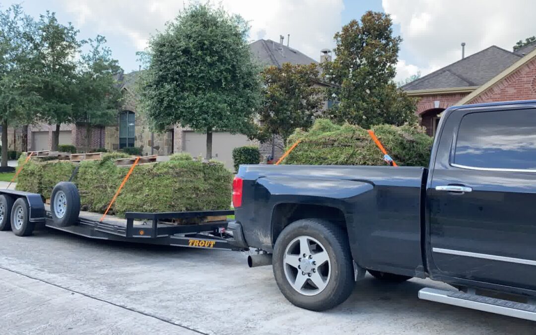 Sod It Right: When to Roll, Water, and Mow Like a Pro