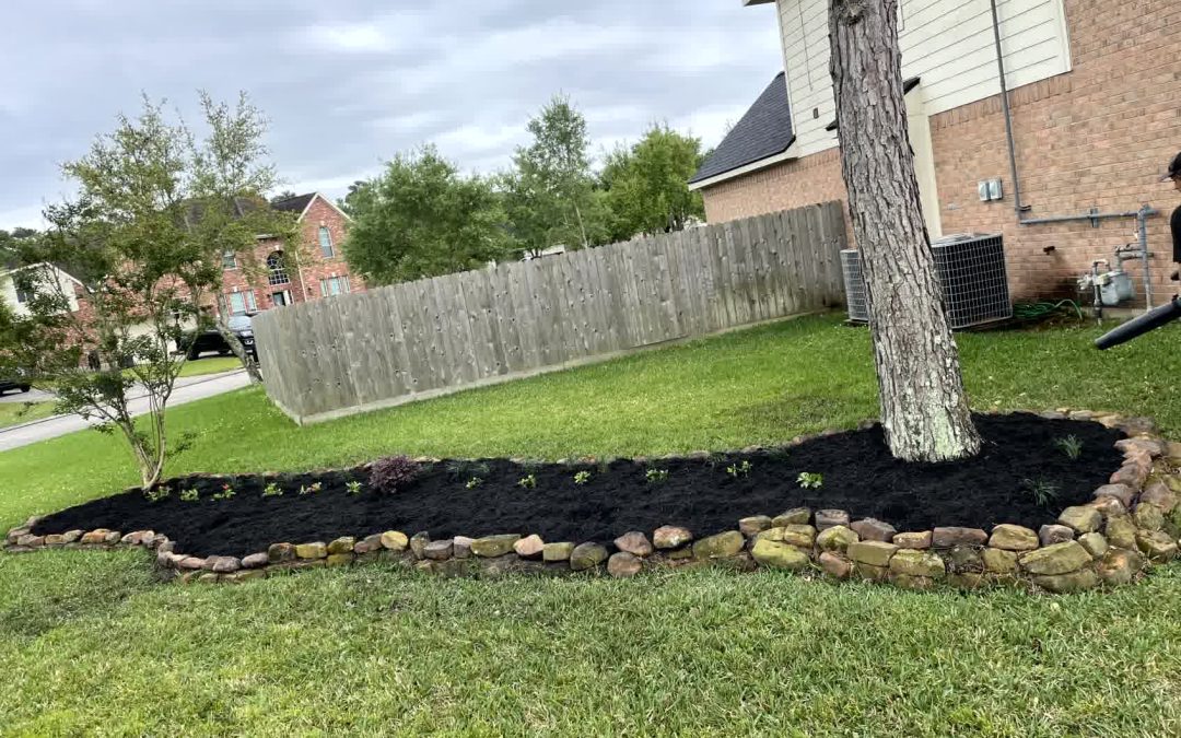 Fantastic Fence Ideas for Texan Front Yards and Driveways