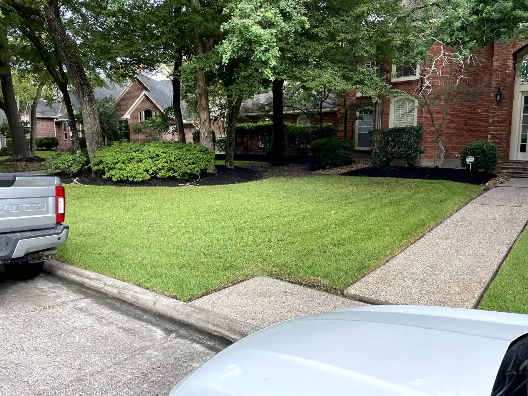 cut n edge humble mulching landscaping -Cut'N Edge Property Management Freshly installed front yard sod surrounded by mature trees, manicured shrubs, and mulch beds at a brick residential property.